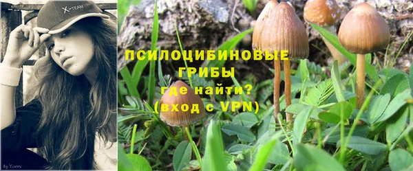 сатива Нефтегорск