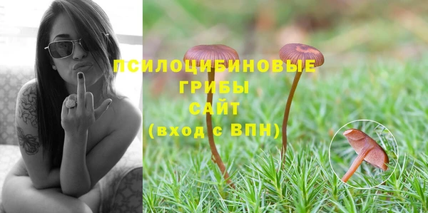 ешки Надым