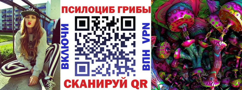 Галлюциногенные грибы Psilocybe  гидра   Яхрома  где продают наркотики 